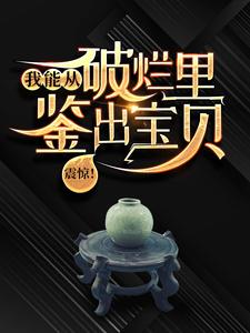 震惊！我能从破烂里鉴出宝贝！完结版陆飞免费阅读大结局