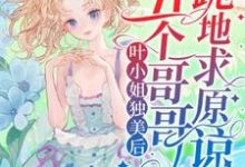 叶小姐独美后,五个哥哥跪地求原谅在线看,叶簌簌小说大结局在哪免费看-阳光书屋