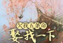 完结版欠我五条命,娶我一下怎么了?在哪免费看,玉沁宋祁小说在线阅读-阳光书屋