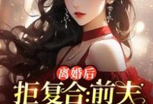 主人公是沈寒星的小说离婚后拒复合:前夫儿子悔断肠免费阅读-阳光书屋