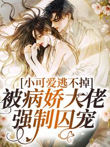 跪求主角是厉骁寒苏染的小说书名叫什么