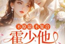 不原谅,不复合,霍少他觊觎我(苏眠)最新章节免费阅读-阳光书屋