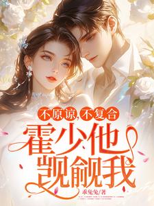 不原谅，不复合，霍少他觊觎我（苏眠）最新章节免费阅读