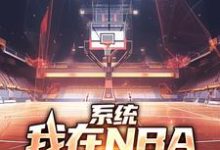 系统:我在NBA把把都超神在线看,林浩科比小说大结局在哪免费看-阳光书屋