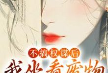 跪求主角是姜明珠的小说书名叫什么-阳光书屋