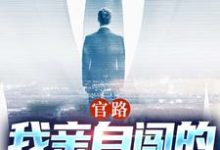 官路：我亲自闯的谁敢拦（主角陆一鸣唐晓婉）完结版免费阅读-阳光书屋
