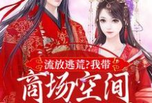 流放逃荒？我带商场空间活的舒服嘞精彩章节在线免费阅读（林书棠段砚洲）-阳光书屋