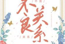 桑胤衡南枫小说免费阅读最新章节列表，不良关系小说在线看-阳光书屋