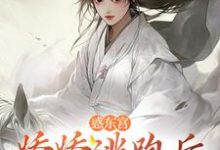 宣姝裴珩小说免费阅读最新章节列表，惑东宫：娇娇逃跑后，太子发疯啦小说在线看-阳光书屋