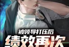 小说被领导打压后，绩效再次被清零！（孙平安林若薇）最新章节在哪看-阳光书屋