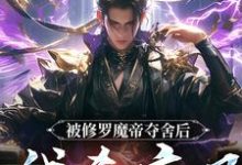被修罗魔帝夺舍后，我杀疯了精彩章节阅读(宋萧然)免费阅读大结局-阳光书屋
