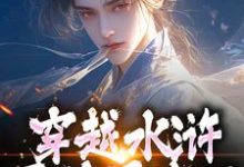穿越水浒，晁盖是我哥（晁阳）最新章节在线阅读-阳光书屋