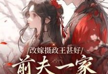 主角是唐枝祁璟的小说改嫁摄政王甚好,前夫一家哀求回头在哪免费看-阳光书屋