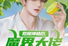陈念最新章节觉醒神格后,魔界大佬举家搬迁免费阅读-阳光书屋