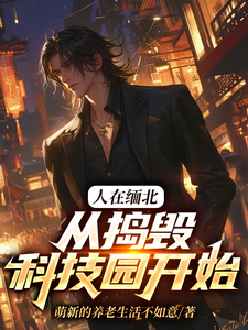 人在缅北，从捣毁科技园开始大结局，韩潇小说无广告阅读