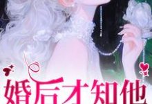 婚后才知他一直暗恋我（沈织星苏遇）最新章节免费阅读-阳光书屋