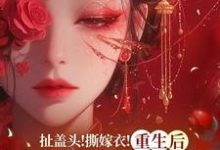 扯盖头!撕嫁衣!重生后她不忍了(司若雪墨锦成)完结版免费阅读-阳光书屋