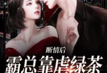 陆星悦厉寒湛小说免费阅读最新章节列表，断情后，霸总靠虐绿茶博同情小说在线看-阳光书屋
