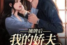 摊牌后，我的娇夫变小弟热门小说(南烟傅靳司)在线阅读无弹窗-阳光书屋