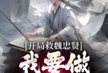 求助这本开局救魏忠贤,我要做宫斗冠军小说在哪里可以看完结版-阳光书屋