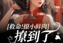 救命！撩小鲜肉撩到了顶级权贵！免费阅读(李善)小说免费读最新章节-阳光书屋