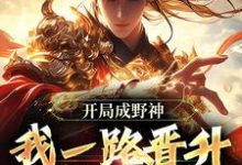 求助这本开局成野神,我一路晋升成大道小说在哪里可以看完结版-阳光书屋