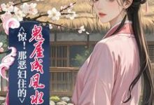 惊！那恶妇住的鬼屋成风水宝地了在线看，简秋张子相小说大结局在哪免费看-阳光书屋