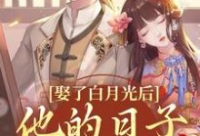 跪求主角是盛栖月萧玉衡的小说书名叫什么-阳光书屋