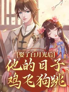 跪求主角是盛栖月萧玉衡的小说书名叫什么