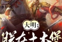 跪求主角是朱祁镇的小说书名叫什么-阳光书屋