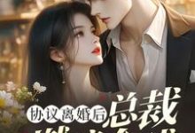 精彩章节阅读协议离婚后，总裁燃遍全球(林深)免费小说在线看-阳光书屋