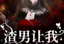 小说渣男让我养拖油瓶？没睡醒呢吧！主角叶繁免费阅读-阳光书屋