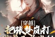 穿越：把张楚岚打造成无敌战神大结局，方云小说无广告阅读-阳光书屋