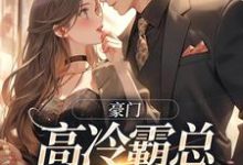 豪门：高冷霸总别太宠大结局，苏颜汐傅霖宸小说无广告阅读-阳光书屋