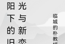 暖阳下的旧时光与新恋曲（主角陆子轩）完结版免费阅读-阳光书屋