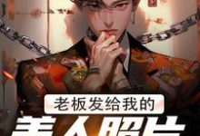 老板发给我的美人照片是老板娘精彩章节在线免费阅读(林江宇)-阳光书屋