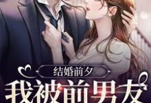 结婚前夕，我被前男友带走了免费阅读，薄寒深曲南枝大结局无弹窗-阳光书屋