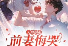 天降倒追，前妻悔哭求复合最新章节天降倒追，前妻悔哭求复合在线阅读-阳光书屋