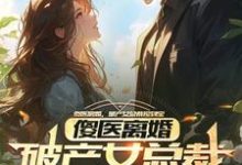 傻医离婚,破产女总裁捡到宝完结版杨路年兮兮免费阅读大结局-阳光书屋