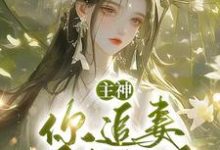 跪求主角是夏溪苏礼的小说书名叫什么-阳光书屋