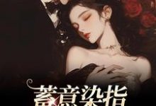 蓄意染指：大佬病态缠欢免费阅读，沈行川桑妩大结局无弹窗-阳光书屋