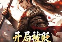 主人公是赵惊鸿嬴政的小说开局被贬,我要掠夺江山免费阅读-阳光书屋