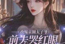 精彩章节阅读改嫁京圈太子爷，前夫哭红眼求我别嫁(林江宇)免费小说在线看-阳光书屋