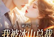 完结版破产后，我被冰山总裁接回家在哪免费看，涂鸢谢引鹤小说在线阅读-阳光书屋