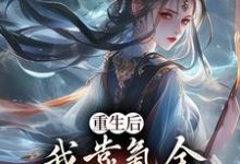 沈云在线阅读，重生后，我靠氪金云养未来女帝小说完结版章节-阳光书屋