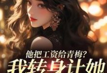 他把工资给青梅？我转身让她写欠条免费阅读，禾念安江予川大结局无弹窗-阳光书屋