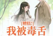 糟糕！我被毒舌霸总缠上了精彩章节在线免费阅读（迟笙沈京洲）-阳光书屋