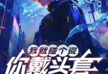 我就碰个瓷,你戴头套什么意思?小说资源求分享,我就碰个瓷,你戴头套什么意思?陆泽赵勇在线阅读-阳光书屋