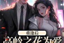 重逢后，高岭之花为爱变身追妻狂魔免费阅读(付闻洲程又青)小说免费读最新章节-阳光书屋