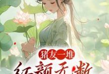 主角是裴双郑子林的小说猪友一堆,红颜无数,这叫年少有为在哪免费看-阳光书屋